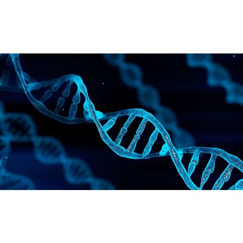 DNA-strands-concept-illustration