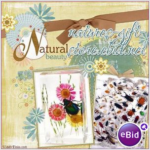 Nature's Gift Store