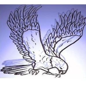 HAWKBITS