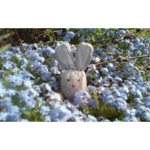 The Garden Bunny