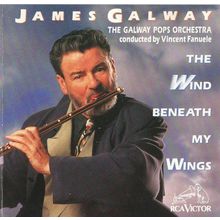 090266086221 - The Wind Beneath My Wings