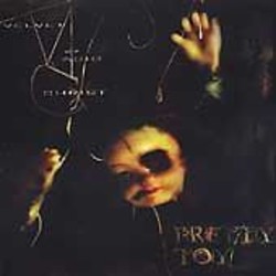 782388028127 - Pretty Toy