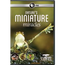 841887035361 - Natures Miniature Miracles