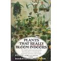Plants That Really Bloom Indoors