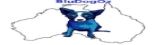 BluDogOz Jewellery banner