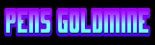 Pens Goldmine banner
