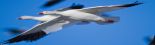 bookrecycle banner