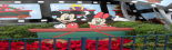 DPL Licensed Toys and Puzzles banner