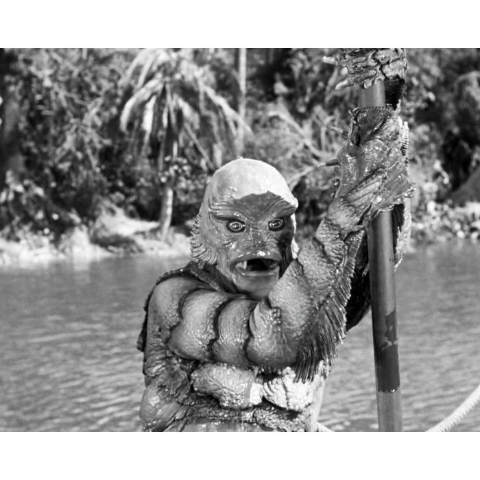 Julie adams creature from the black lagoon 8x10 photo zdx 16 on ebid