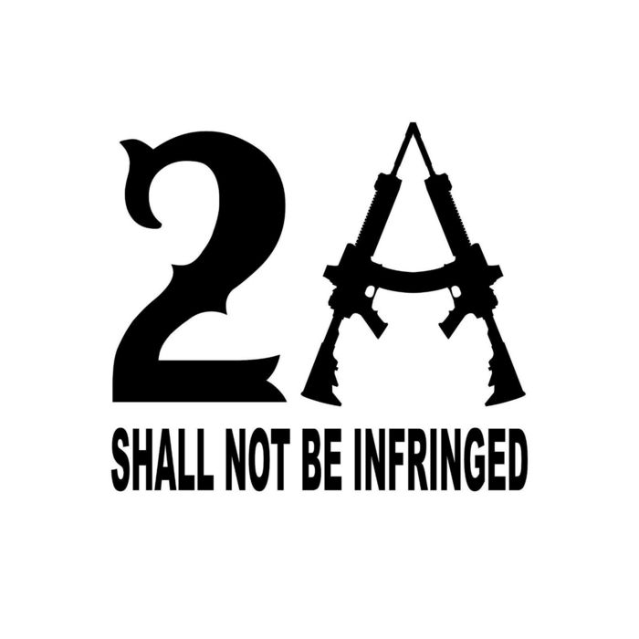 Adesivo 2nd Amendment 5 Pollici Oro E Argento True Artworx - Decal Glossy Per Auto