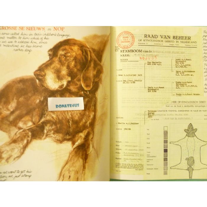 DOGS written and illustrated by RIEN POORTVLIET HCJD 9780810908093