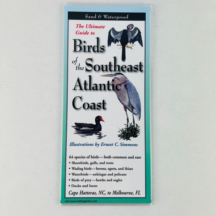 Birds of the Southeast Atlantic Coast Folding Guides Laminated Pamphlet ...