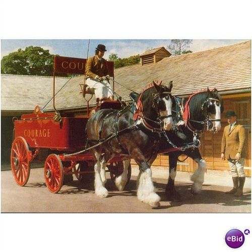 GB Postcard - Courage Shire Horse Centre, Maidenhead -1