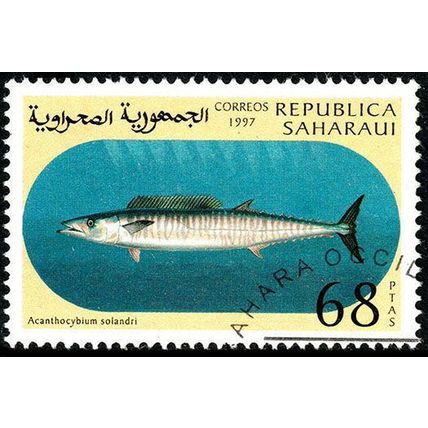 Saharaui 1997 Fish 68P Used Stamp Western Sahara