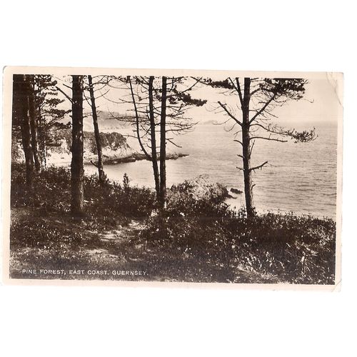 THE PINE FOREST, EAST COAST, GUERNSEY, CHANNEL ISLES used postcard 1930 postmark