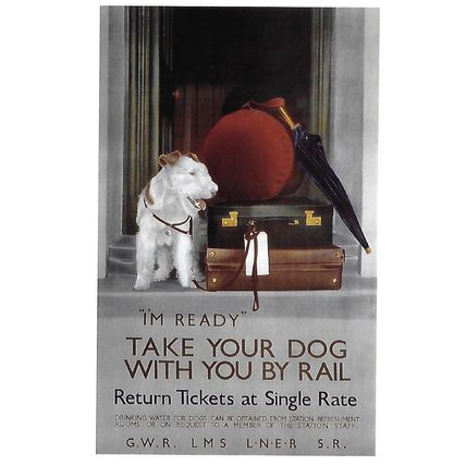 222396: Take Your Dog, unknown artist, 1923-1947