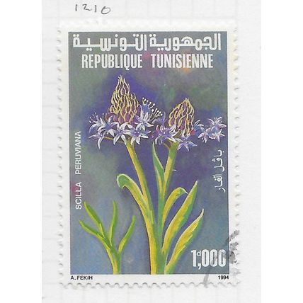 TUNISIA 1994 FLOWER PLANT SCILLA PERUVIANA Portuguese Squill USED FLORA