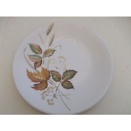 Washington Pottery - Autumn Leaves - Side Plate