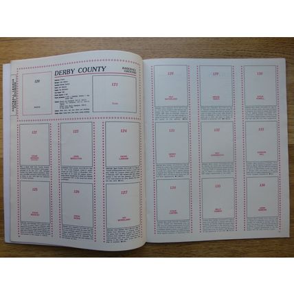 Panini Football 80 - Empty Sticker Album