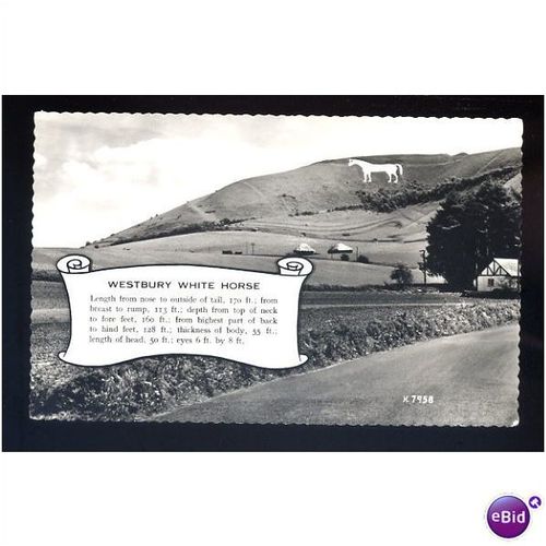 Wiltshire WESTBURY White Horse Postcard by Valentine (K.7958)