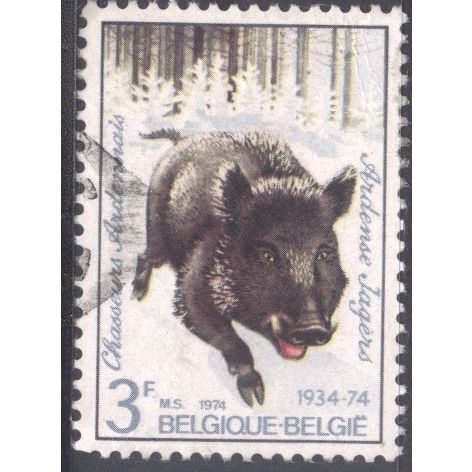 Belgium 1974 - SG2367 - 3f. multi - Wild Boar - used