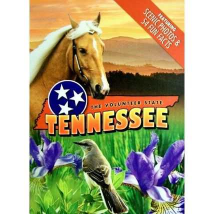Tennessee Souvenir Playing Cards