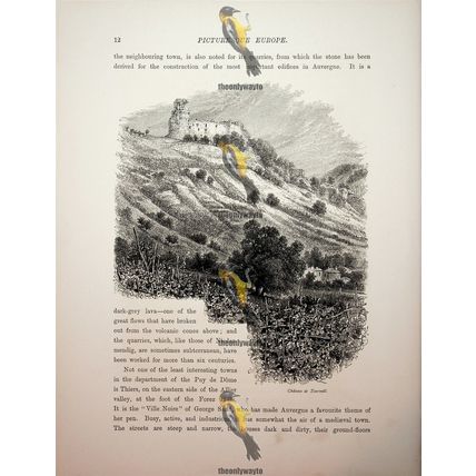 Riom, Picturesque Corner, France (More, Reverse), Book Illustration, c1875