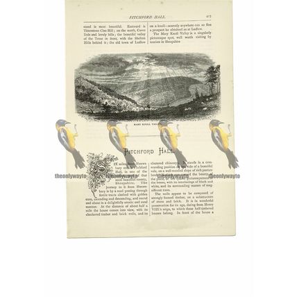 Mary Knoll Valley, Shropshire, Book Illustration (Print), 1891