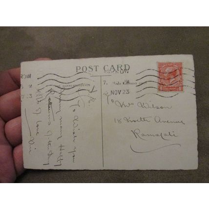 1923 Birthday Greeting Postcard - Blue Tits - Birds / Twitcher interest
