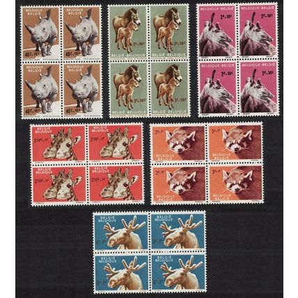 Belgium Panda Rhino Giraffe Animals of Antwerp Zoo 6v Blocks of 4 1961 MNH