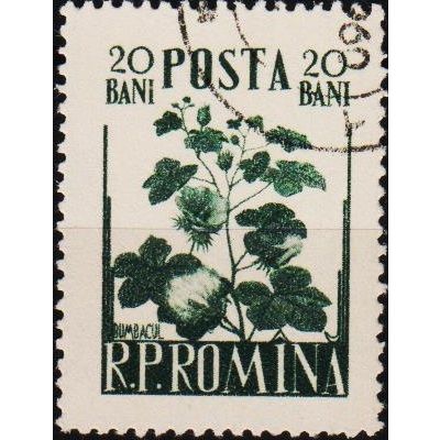 Romania. 1955 20b S.G.2406 Used