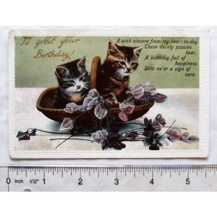 vintage postcard To Greet Your Birthday - Kittens