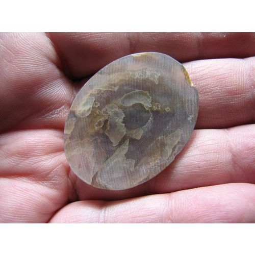 Quant Tube Agate Oval Cabochon: Fantastic Outlined Tubes; Old Oregon Variety