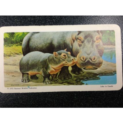 Red Rose Tea Card - Blue Ribbon Animals & Young Series 18 - Set of 18 cards