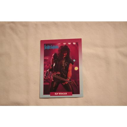 1991 Brockum Rockcards Set of 288 Cards Hand collared