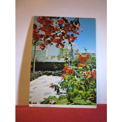 'EL CHAPARRAL', COSTA DEL SILENCIO. Tenerife used postcard =
