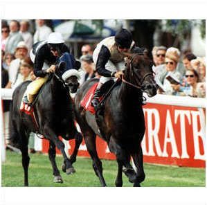 PRESS PHOTO ANABAA (Freddie Head) July Cup Newmarket 96