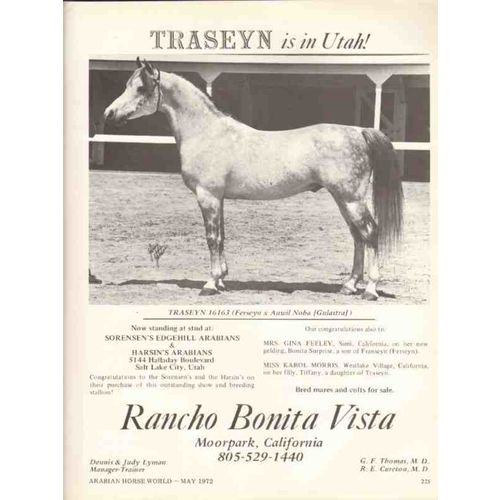 rancho bonita vista 1972 traseyn ferseyn auwil noba horse vintage ad