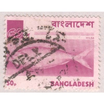 Bangladesh 1973 - SG28 - 50p purple - Hilsa (Fish) - used