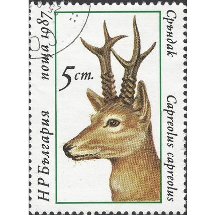 BULGARIA, MAMMAL, Roe deer, Capreolus capreolus, white 1987, 5CT