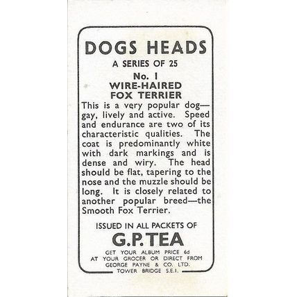 Dogs Heads 1963 G.P. Tea Card 1 - Wire-Haired Fox Terrier