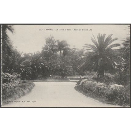 Allée du Grande Lac, Le Jardin d'Essai, Alger, c.1910 - Régence CPA AL352