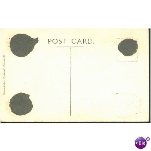 Vintage 'Nature-Colour' Postcard - Waterhead, Windermere Lake, Cumbria