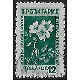 Mi 876: 12 st. myrtle-green Medicinal Flowers: Dog Rose, line perf. 12¾