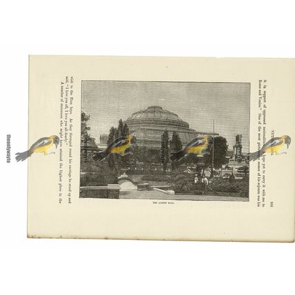 Albert Hall, London, England, Book Illustration (Print), c1870