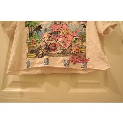 Vintage John Galt Chill Since 1993 Malibu California Women’s Cropped Tee
