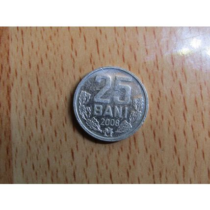 Moldova 2008 25 Bani Coin