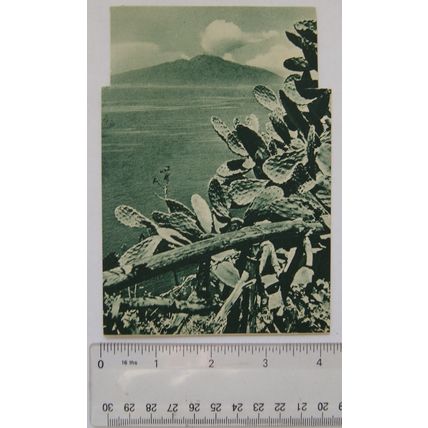 1943 postcard Vesuvius seen from Sorrento, Italy