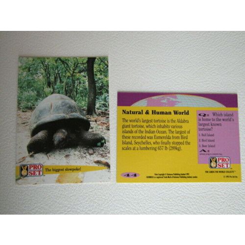 Pro Set 1992 Guinness Book of Records Trade Cards Card Variants (eb2)