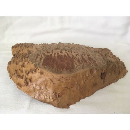 Rare Australian COOLIBAH COOLABAH BURL Large Handcrafted Bowl Dish 970 Grams
